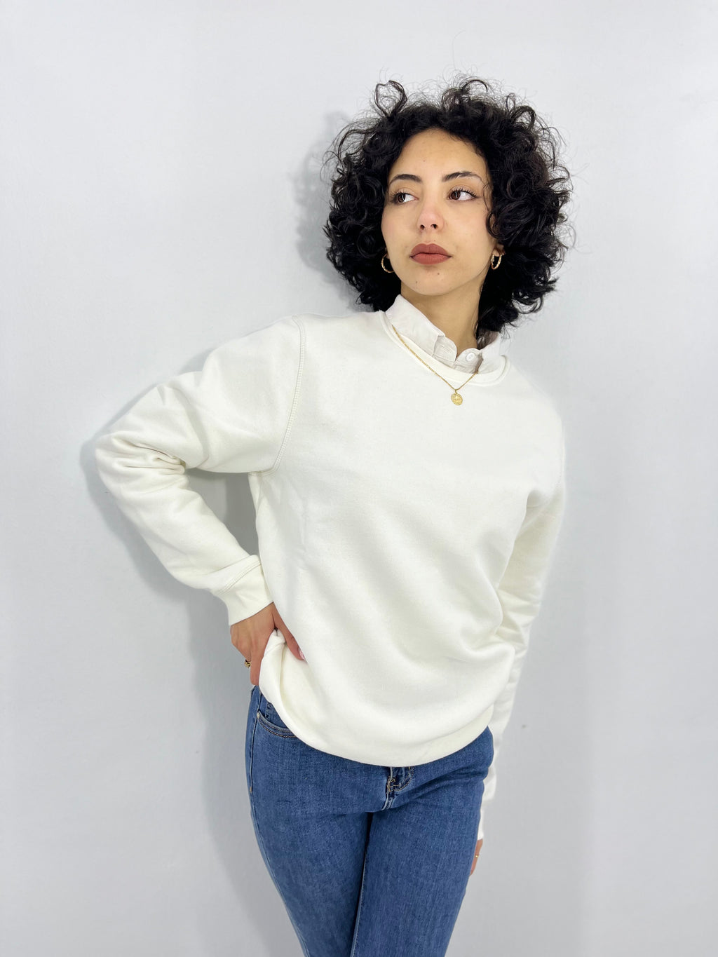 SweatShirt Regular